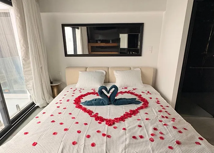 Vegetale N102 Appartement Narbonne